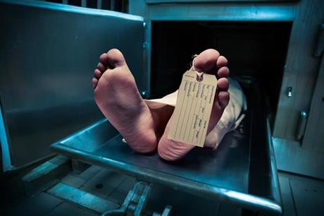 تفاصيل مثيرة.. جثث متعفنة لأسرة كاملة تصيب الأمن بالحيرة في مصر