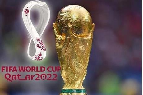 الحكومة المصرية تصدر قرارا بشأن كأس العالم في قطر