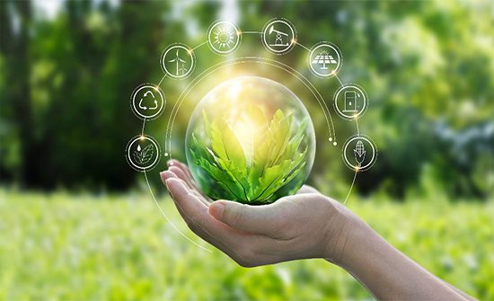 المرصد العمالي: التوجه نحو الاقتصاد الأخضر يُعزز التنمية المستدامة