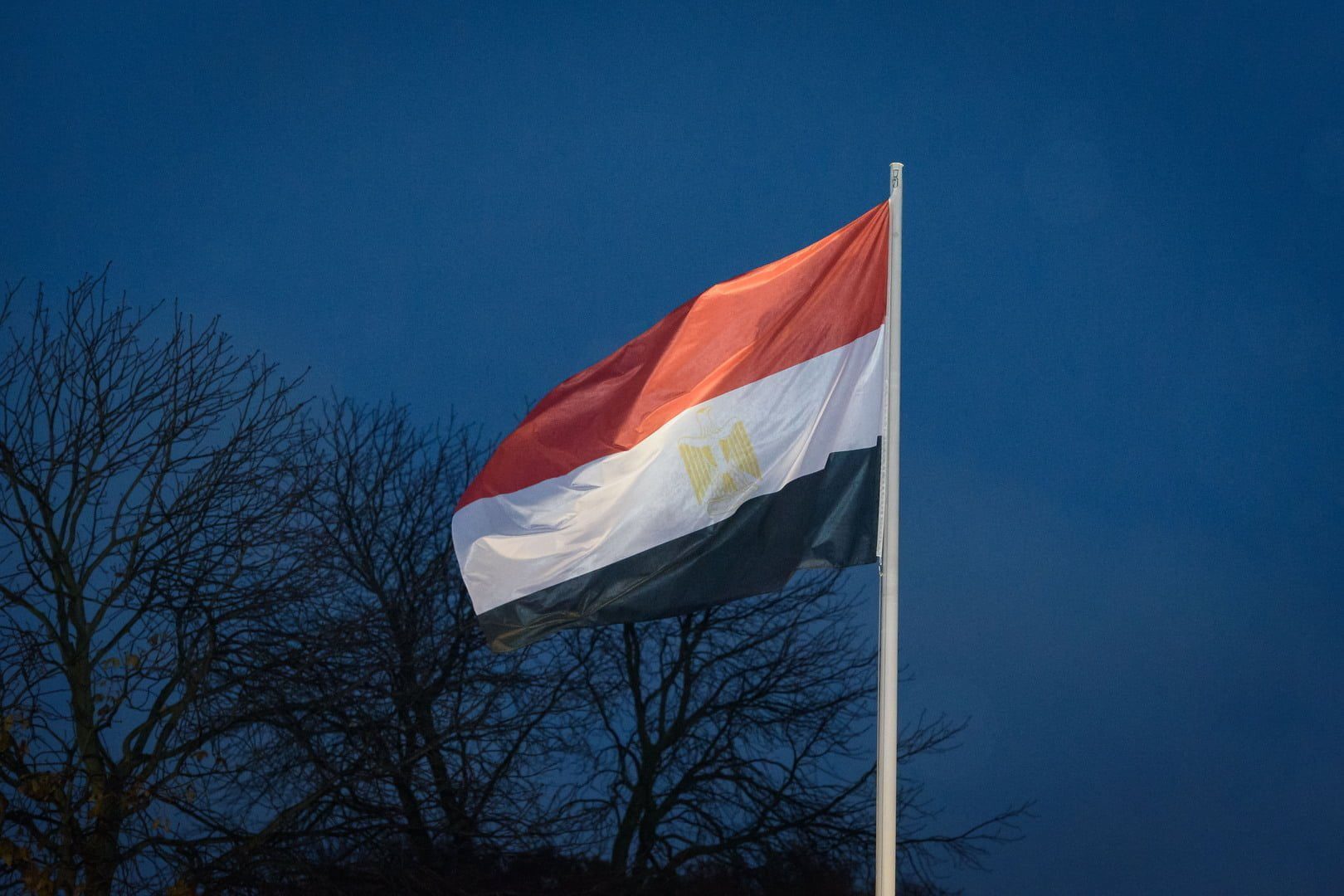 دار الإفتاء المصرية توجه رسالة لدعاة الفتنة