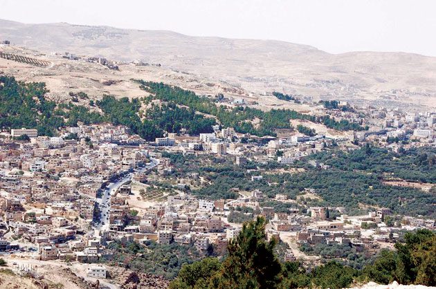 حملة لمناهضة العنف ضد النساء في الطفيلة
