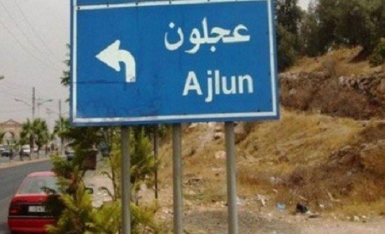 عجلون: دعوات لتعزيز التضامن بالعمل التطوعي