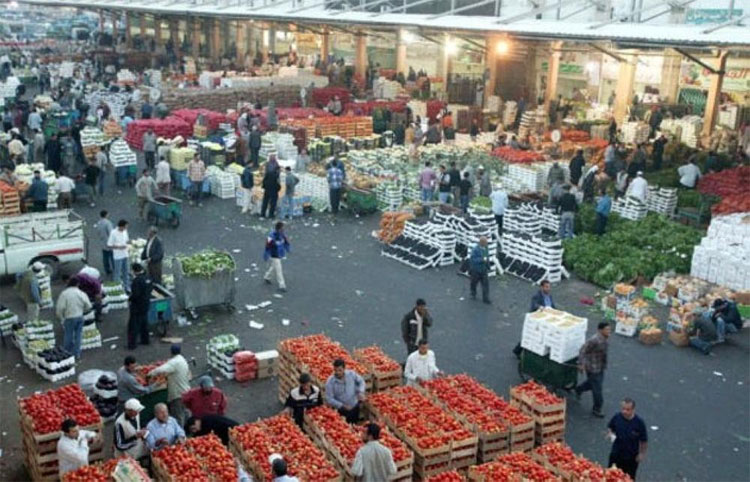 اسعار الخضار اليوم في السوق المركزي