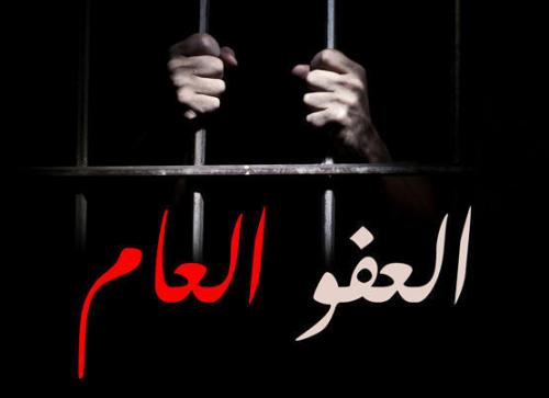 الفايز : الحكومة جادة في التباحث حول موضوع العفو العام