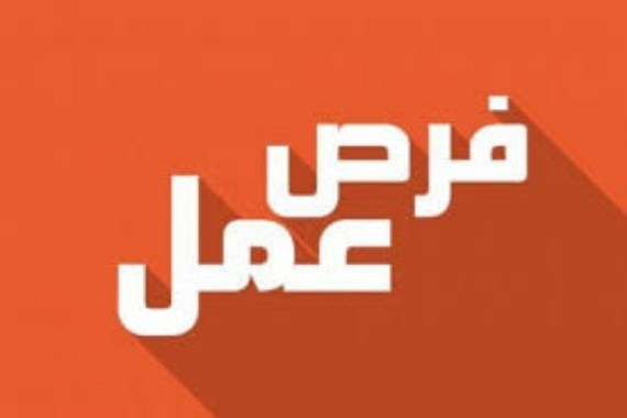 فرص تدريب وعمل للذكور والإناث في العقبة