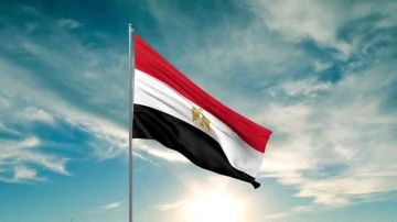 مصر.. السلطات تكشف تفاصيل العثور على هياكل حمير في الفيوم بعد فيديوهات متداولة