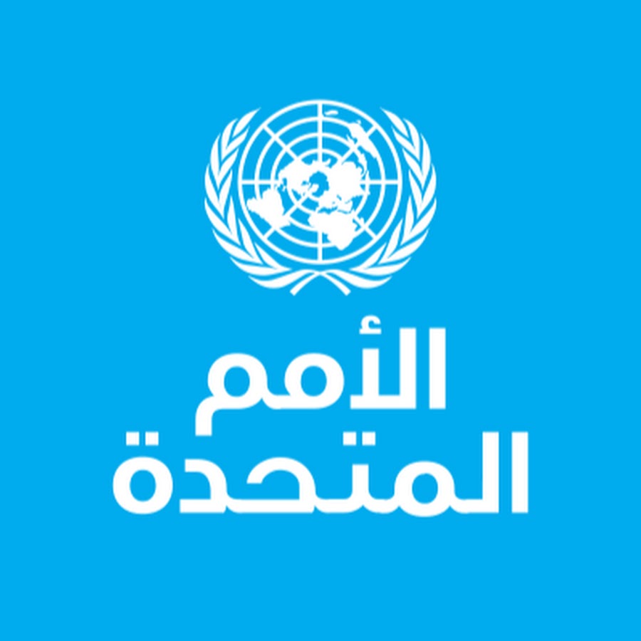 الأمم المتحدة: حصول 110 منظمات غير حكومية على مركز استشاري بالمجلس الاقتصادي