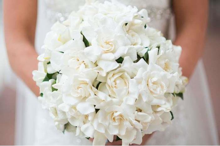 أخطاء على العرائس تجنبها قبل حفل الزفاف