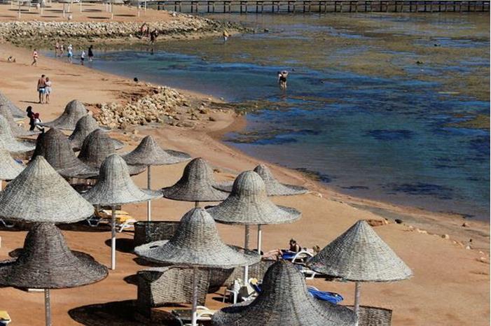استعدادات لإطلاق رحلات بحرية جديدة من روسيا إلى مصر