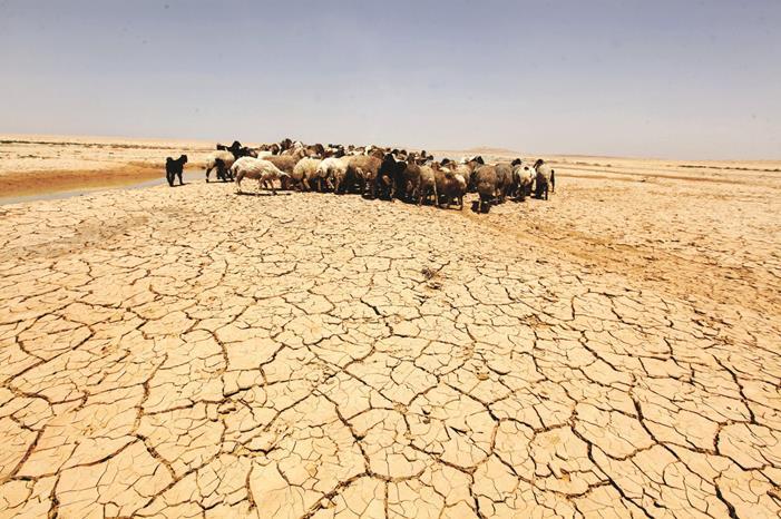 البنك الأوروبي : 55% من الأردنيين يرون أن تغيُّر المناخ أثر على الدخل