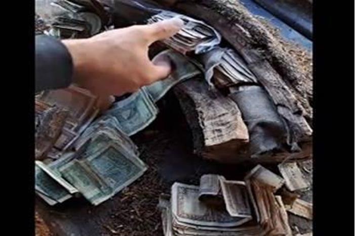 تعادل قيمته المليارات..شخص يعثر على كنز مخبأ داخل شجرة في لبنان