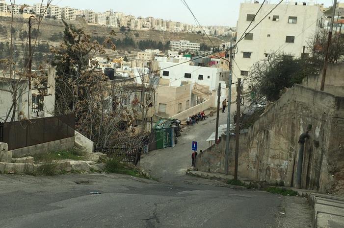 صور - إصابة سائق ونفوق أغنام بحادث تدهور "ديانا" في البيادر