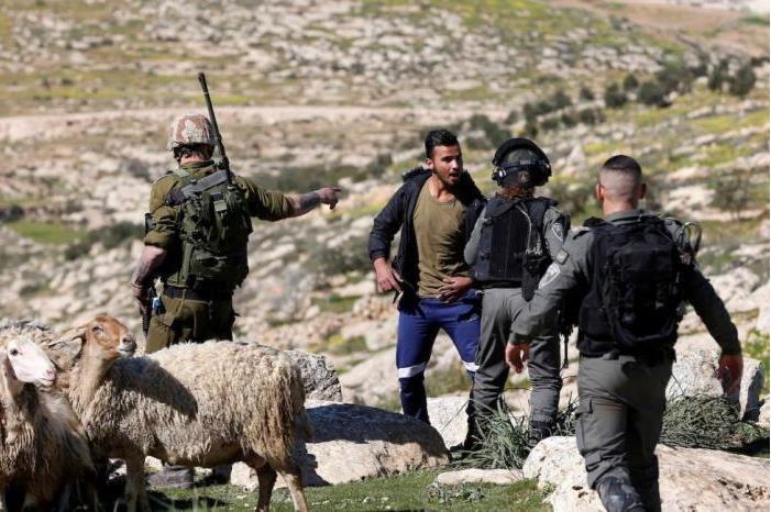 الاحتلال يعتقل راعي أغنام في المعرجات غرب أريحا
