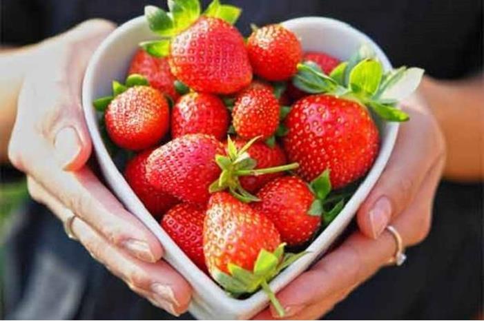 فائدة غير متوقعة لتناول الفراولة يومياً