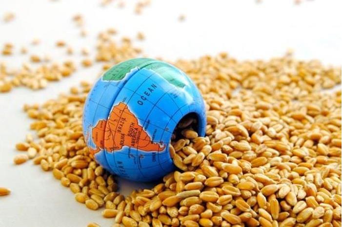 الأمم المتحدة: الأمن الغذائي العربي مهدد بفعل تضخم الأسعار