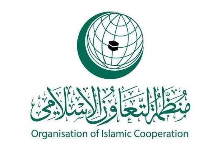 التعاون الإسلامي تدين حرق نسخ من المصحف في الدنمارك