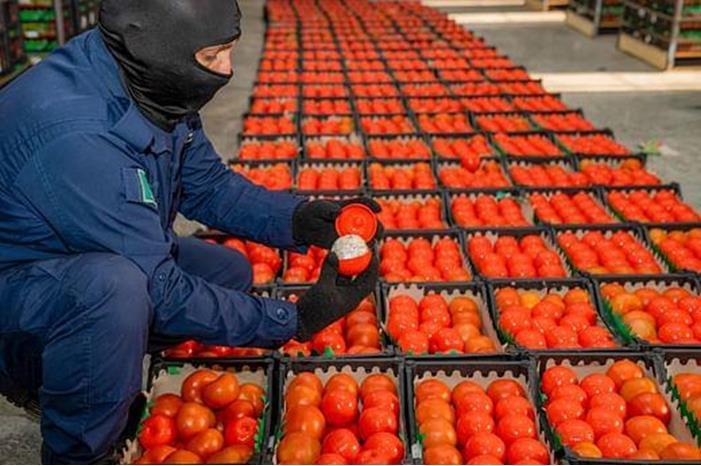 بيان لوزارةالزراعة حيال ضبط السلطات السعودية تهريب مخدرات ضمن ارسالية زراعية قادمة من الأردن