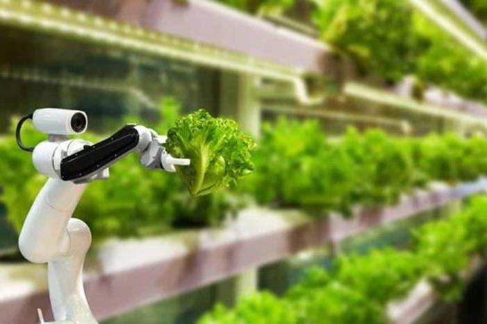 تتنبأ بأزمات الغذاء العالمية.. منظومة جديدة للذكاء الاصطناعي