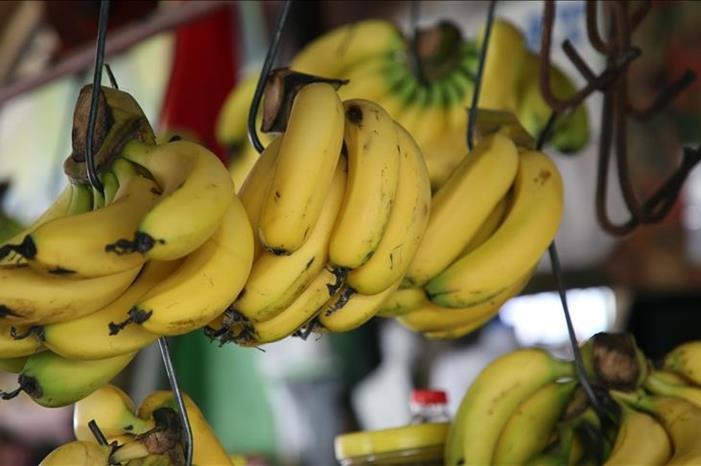 حماية المستهلك تطالب السماح باستيراد الموز بعد ارتفاع أسعاره