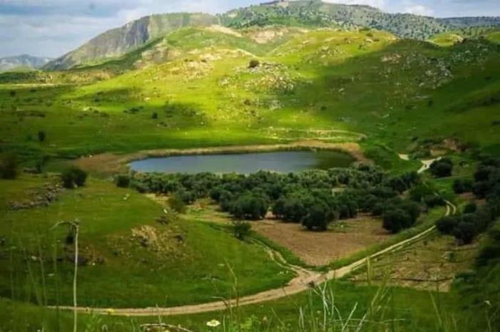 زراعة إربد: الأمطار الماضية تبشر بموسم زراعي جيد