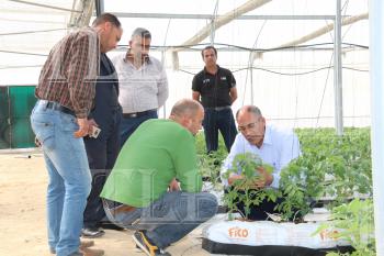مزرعة مؤتة النموذجية.. الأولى من نوعها بالأردن في الزراعة المحمية 