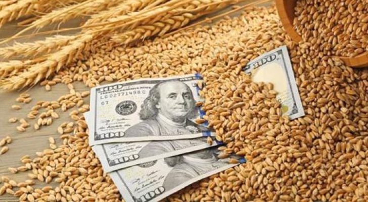 ارتفاع سعر القمح لأعلى مستوياته