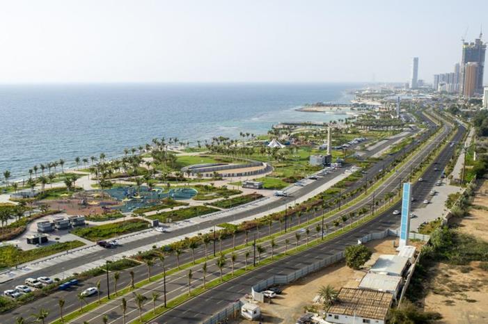 مستوى تمثيل القادة المشاركين في القمة العربية