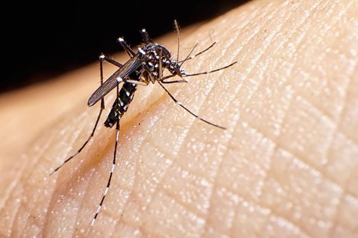 تجنب ارتداء هذه الألوان.. البعوض لك بالمرصاد