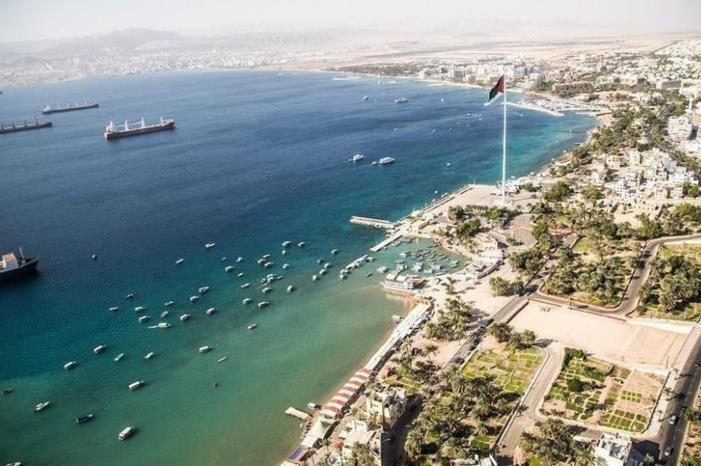 إنقاذ سلحفاة بحرية علقت بقنوات تبريد المنطقة الصناعية بالعقبة