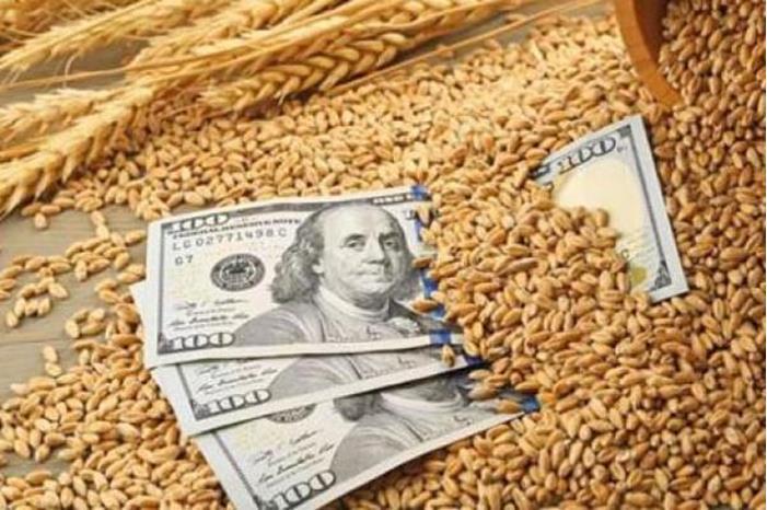 ارتفاع العقود الآجلة للقمح بنسبة 1.27% إلى 740.25 دولار