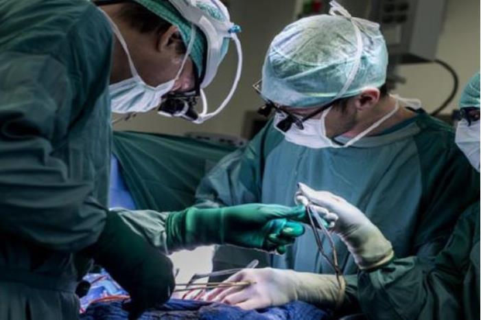 الأطباء ينقذون رجلا علق 'أخطبوط' في حلقه بسنغافورة
