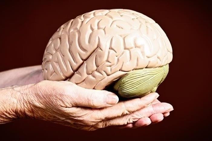دراسة : العزلة تؤثر على حجم الدماغ
