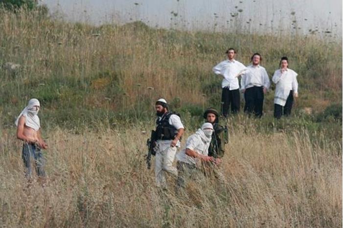 مستوطنون يعتدون بالضرب على فلسطينيين في سلفيت