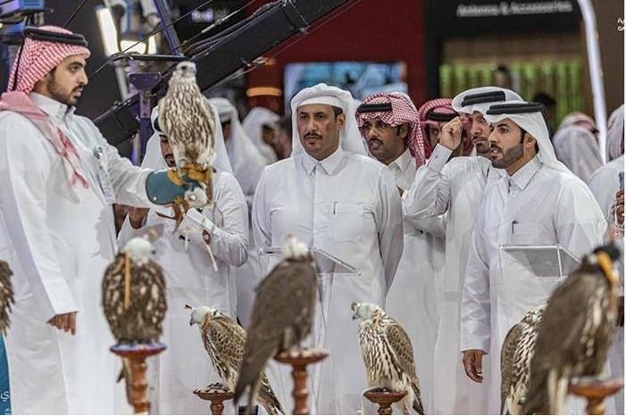 صورة حول : أغلى صفقة في العالم .. بيع فرخ صقر وغطاء لرأسه بمبلغ 73.6 ألف دولار في قطر أغلى صفقة في العالم .. بيع فرخ صقر وغطاء لرأسه بمبلغ 73.6 ألف دولار في قطر