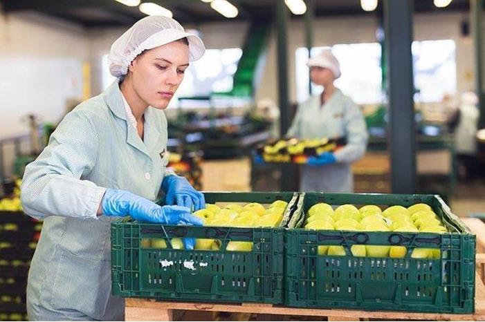 ارتفاع الأجور في بريطانيا بنسبة 7.8 %