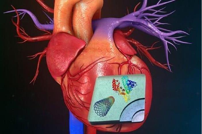 اكتشاف اتجاه جديد في علاج أمراض القلب