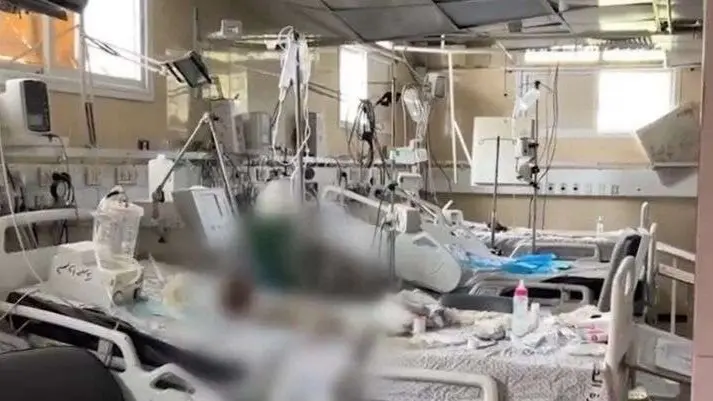 What does Biden think...decomposing bodies of infants in a hospital in Gaza - video