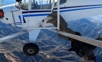 السجن 6 أشهر لأمريكى حطم طائرته لتصوير فيديو على يوتيوب