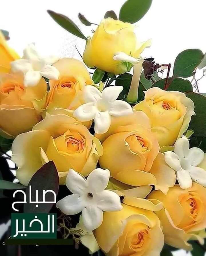 استقرار اسعار الذهب في الاردن اليوم عند 40.9 ديناراً للغرام
