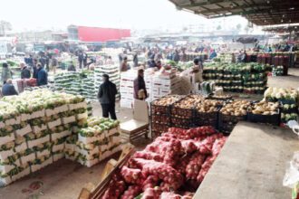 استقرار اسعار غالبية أصناف الخضار والفاكهة في السوق المركزي