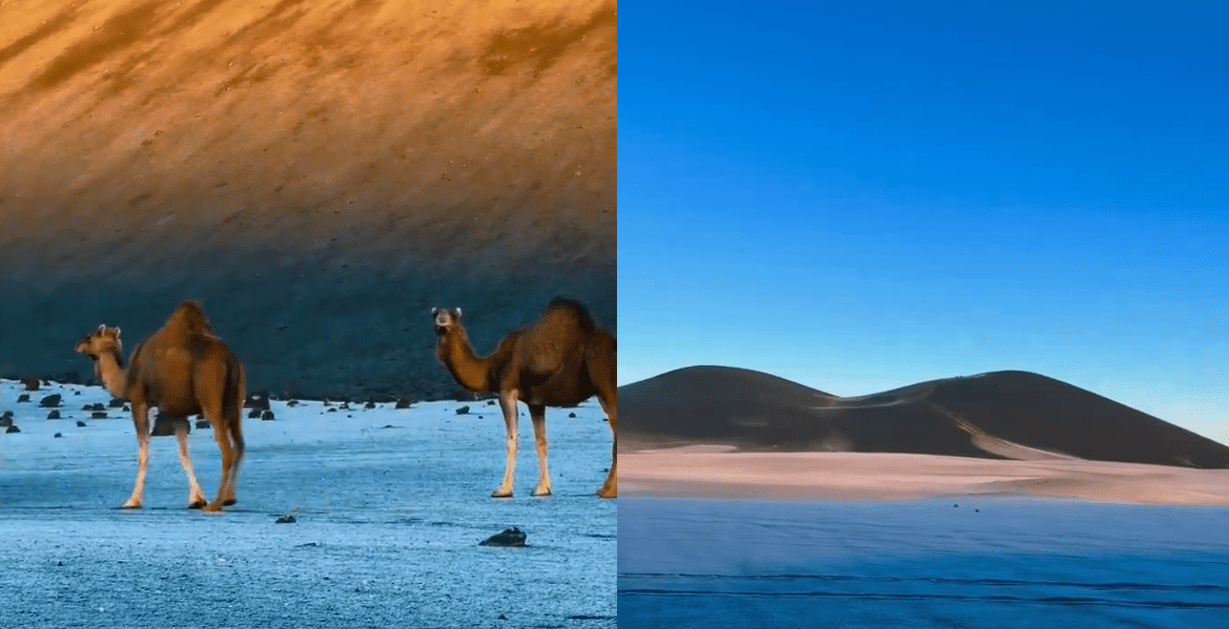 الصقيع يشكل مناظر خلابة في المدينة المنورة