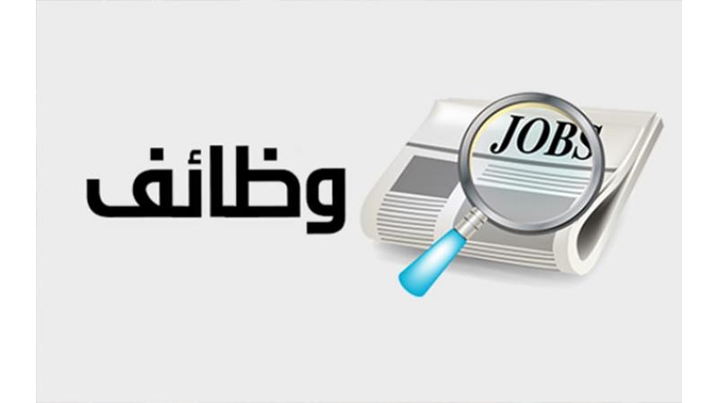 وظائف شاغرة بالقطاعين الحكومي والخاص