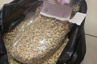 الأجهزة الأمنية أحبطت تهريب (73500) حبة كبتاجون مخدرة
