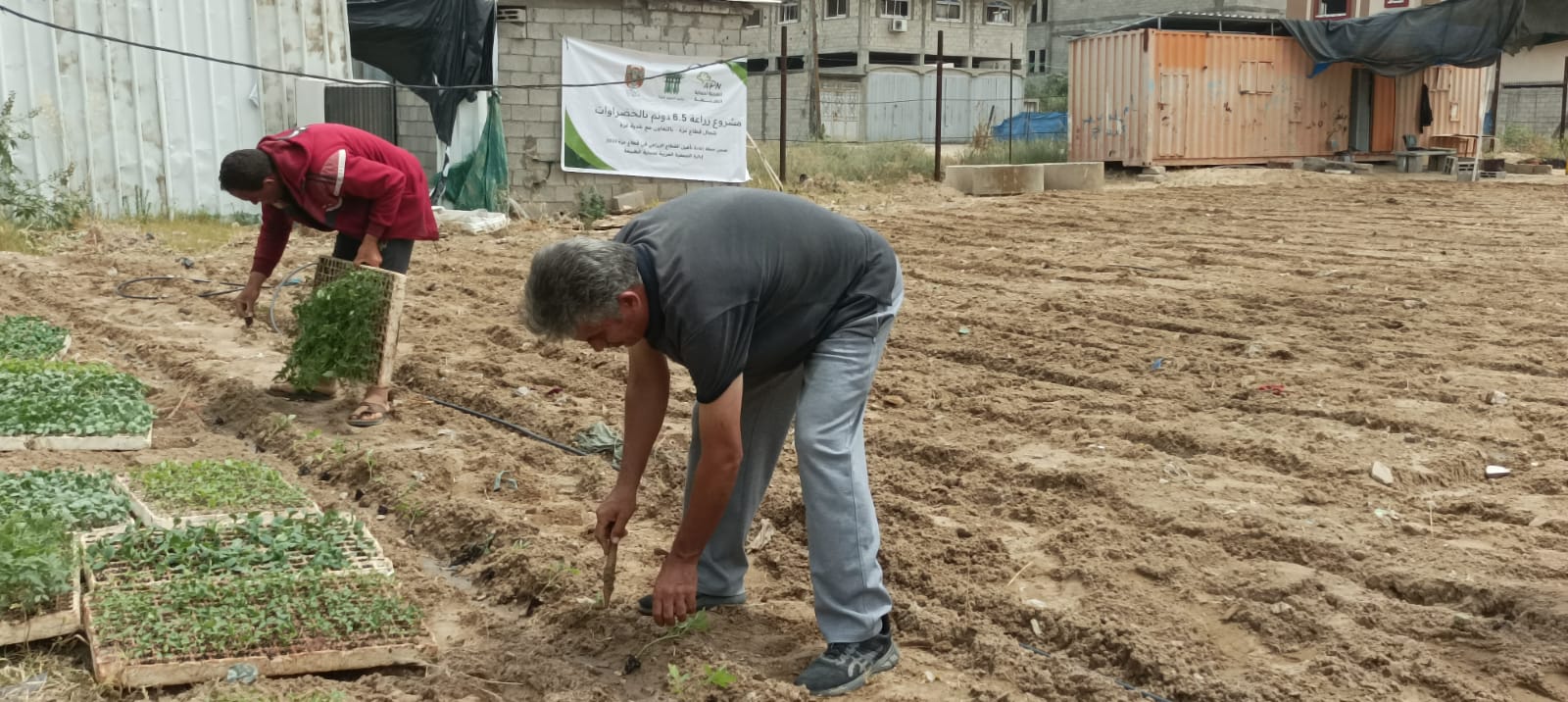 العربية لحماية الطبيعة تعيد مشتل بلدية غزة إلى العمل بزراعة الخضروات لمواجهة المجاعة