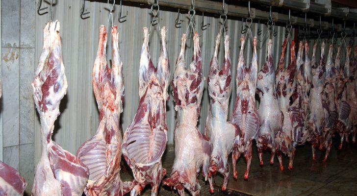 الأمانة: ذَبح ومُعاينة 7986 رأسًا من الأغنام و397 رأسا من الأبقار، ومعاينة 360 طن لحوم فاكيوم
