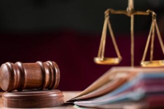 قرار "الجنايات الكبرى" يثير قضية إخراج أمعاء خالتها ويكشف عن تفاصيل القصة