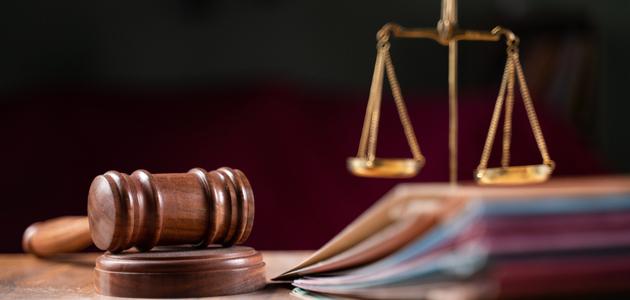 قرار "الجنايات الكبرى" يثير قضية إخراج أمعاء خالتها ويكشف عن تفاصيل القصة