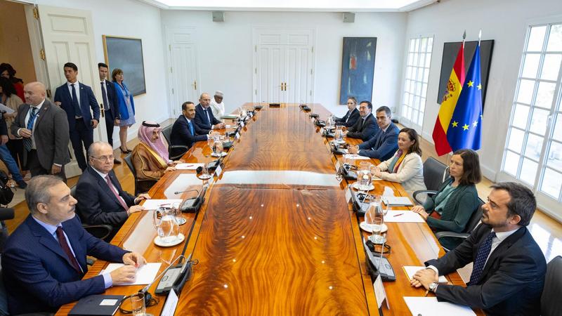 رئيس الوزراء الإسباني يجتمع مع الصفدي لبحث الأوضاع في غزة