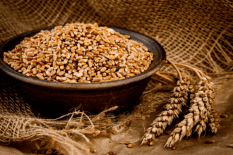 مراكز استلام الحبوب تفتح أبوابها