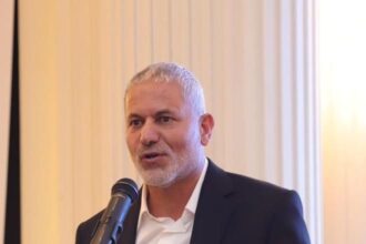 عمرو: توفر مخزون كبير من المواد الغذائية وانخفاض الأسعار والمبيعات
